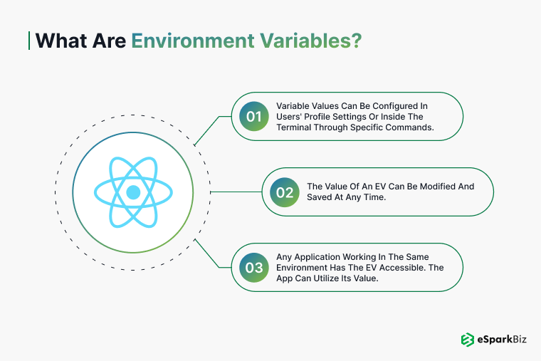 What Are Environment Variables